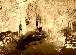 Sepia + Negatyw