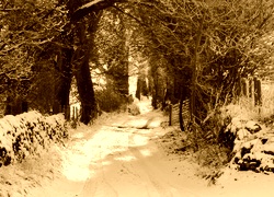 Sepia