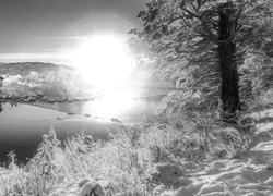 Szary + Sepia