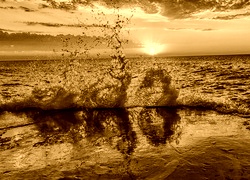 Sepia