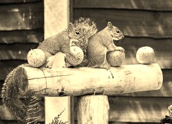 Szary + Sepia