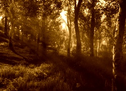 Sepia