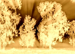 Sepia + Negatyw