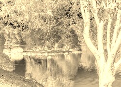 Sepia + Negatyw