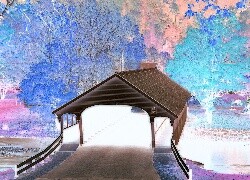 Negatyw