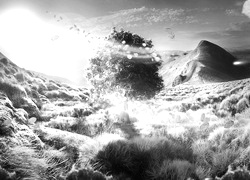 Szary + Sepia