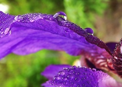 Oryginalny obrazek