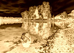 Sepia + Negatyw