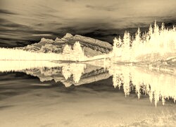 Sepia + Negatyw