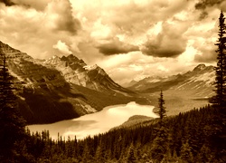 Sepia
