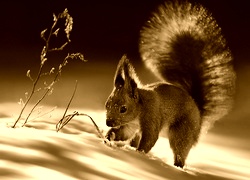 Sepia