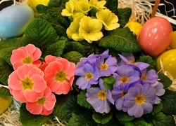 Oryginalny obrazek