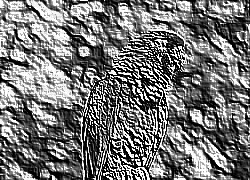 Skamielina
