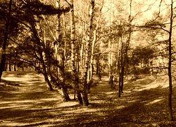 Sepia