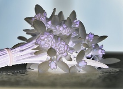 Negatyw