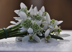 Oryginalny obrazek