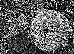Skamielina