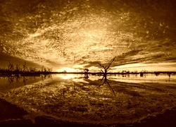 Sepia