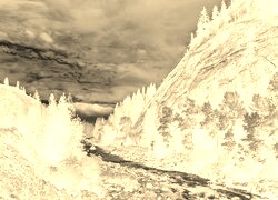 Sepia + Negatyw