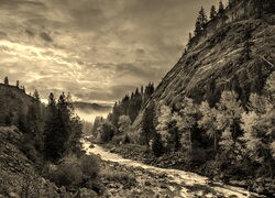 Sepia