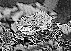 Skamielina