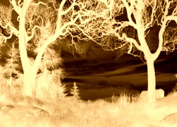 Sepia + Negatyw
