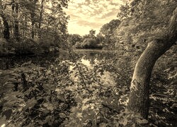 Sepia