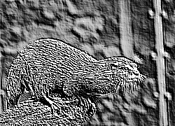 Skamielina
