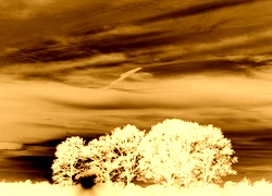 Sepia + Negatyw