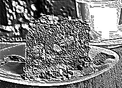 Skamielina