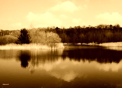 Sepia