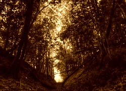 Sepia