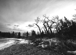 Szary + Sepia