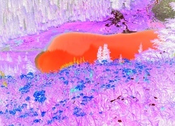Negatyw