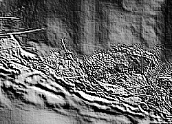 Skamielina