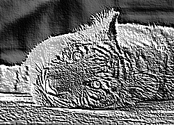 Skamielina