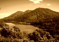 Sepia