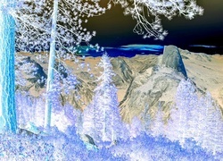 Negatyw