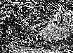 Skamielina
