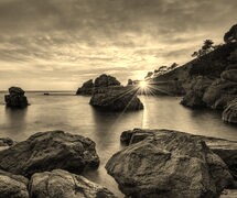 Sepia