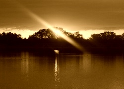 Sepia