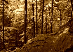 Sepia