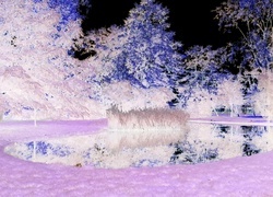 Negatyw