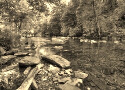 Sepia