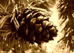Sepia