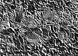 Skamielina