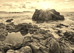 Sepia