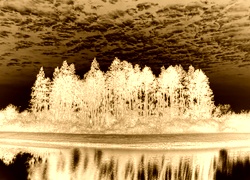 Sepia + Negatyw