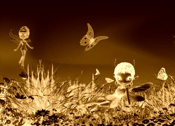 Sepia + Negatyw