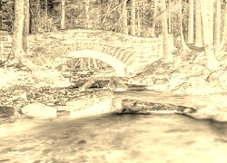 Sepia + Negatyw
